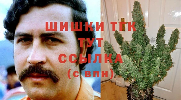 индика Остров