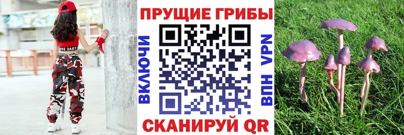 Галлюциногенные грибы мухоморы  ссылка на мегу как войти  Ладушкин 